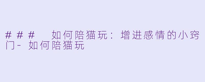 ### 如何陪猫玩:增进感情的小窍门