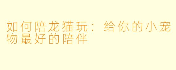 如何陪龙猫玩：给你的小宠物最好的陪伴