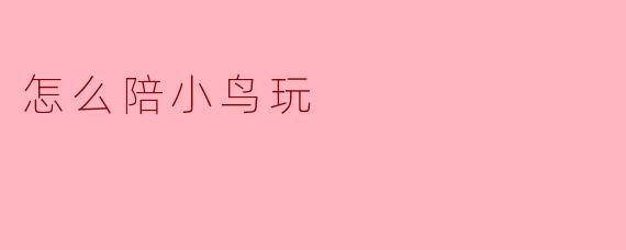 ### 如何陪小鸟玩:快乐与鸟儿的亲密时光