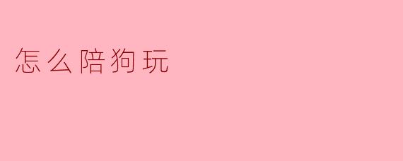怎么陪狗玩