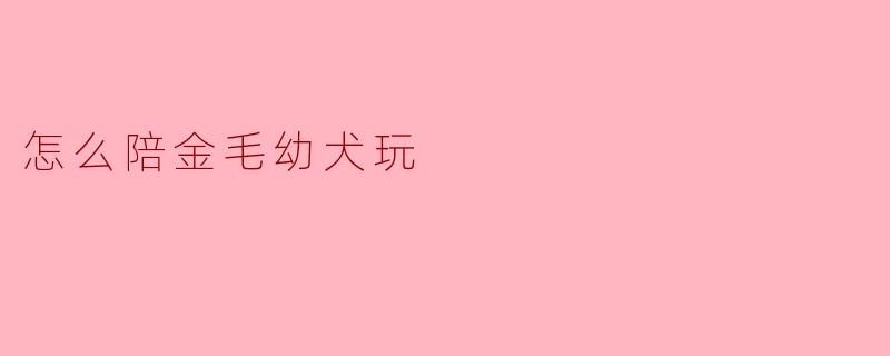 ### 怎么陪金毛幼犬玩