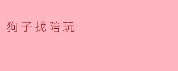 狗子找陪玩