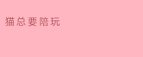 猫总要陪玩