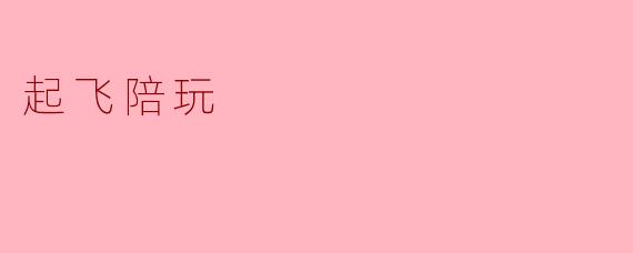 什么是起飞陪玩？****