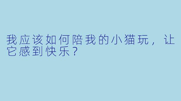 我应该如何陪我的小猫玩,让它感到快乐?