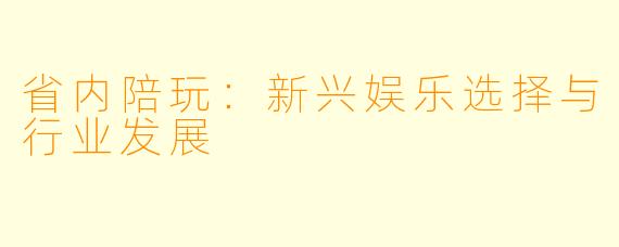 省内陪玩:新兴娱乐选择与行业发展