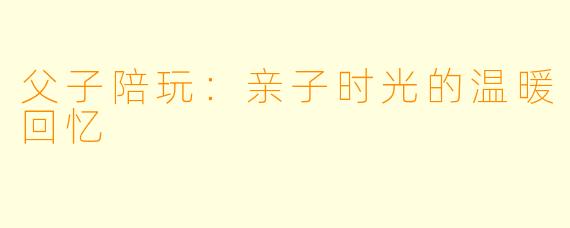 父子陪玩：亲子时光的温暖回忆