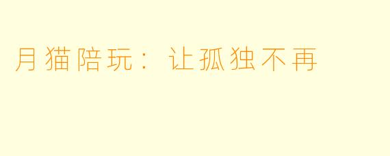月猫陪玩：让孤独不再
