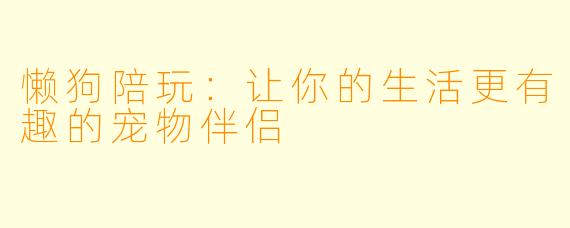 懒狗陪玩：让你的生活更有趣的宠物伴侣