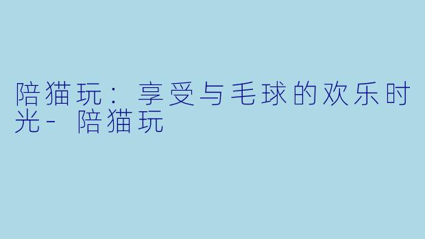 陪猫玩：享受与毛球的欢乐时光-陪猫玩