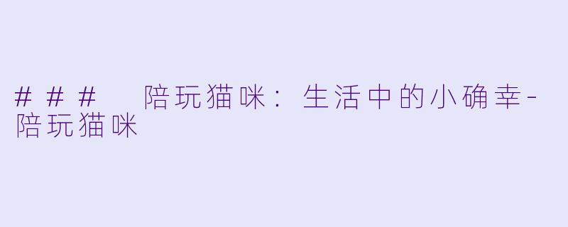 ### 陪玩猫咪：生活中的小确幸-陪玩猫咪