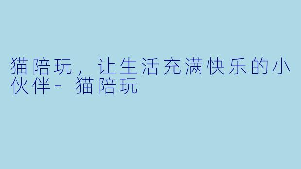 猫陪玩，让生活充满快乐的小伙伴-猫陪玩