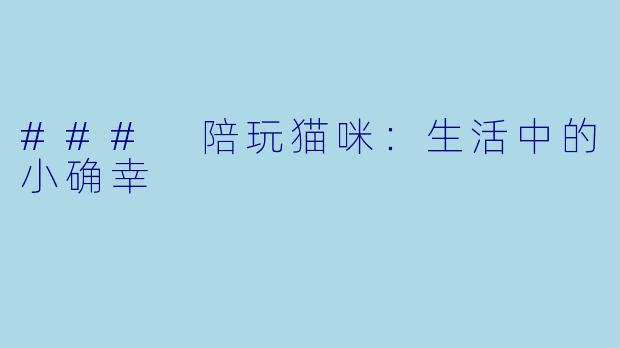 ### 陪玩猫咪：生活中的小确幸