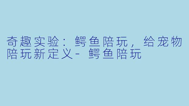 奇趣实验：鳄鱼陪玩，给宠物陪玩新定义-鳄鱼陪玩