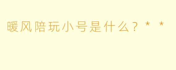 暖风陪玩小号是什么？**