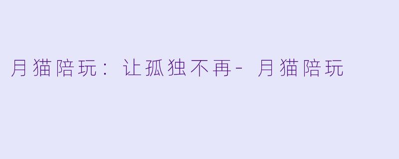 月猫陪玩:让孤独不再