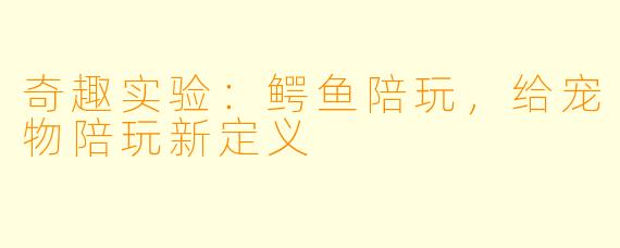 奇趣实验：鳄鱼陪玩，给宠物陪玩新定义