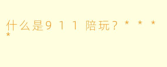 什么是911陪玩？****