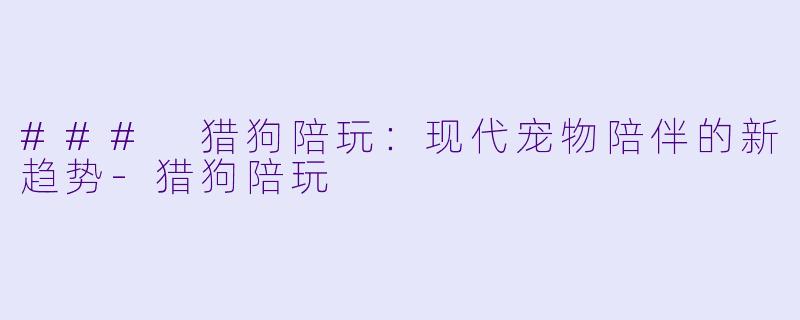 ### 猎狗陪玩:现代宠物陪伴的新趋势