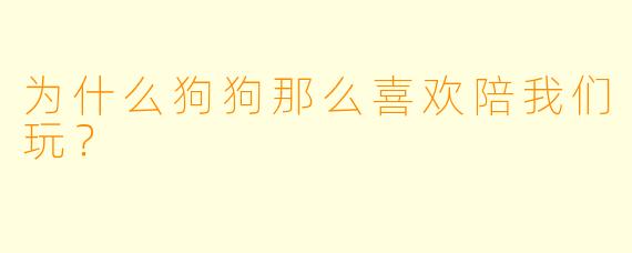 为什么狗狗那么喜欢陪我们玩？