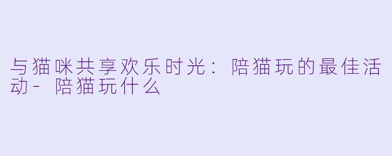 与猫咪共享欢乐时光：陪猫玩的最佳活动-陪猫玩什么