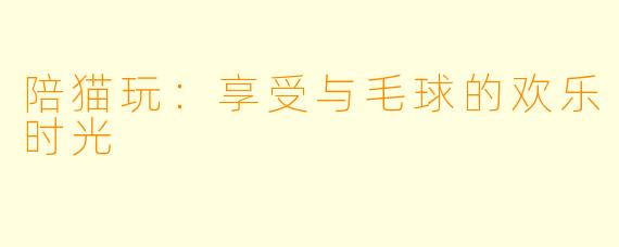 陪猫玩：享受与毛球的欢乐时光