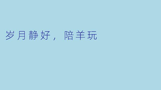 岁月静好，陪羊玩