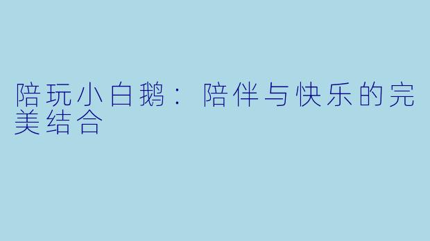 陪玩小白鹅：陪伴与快乐的完美结合