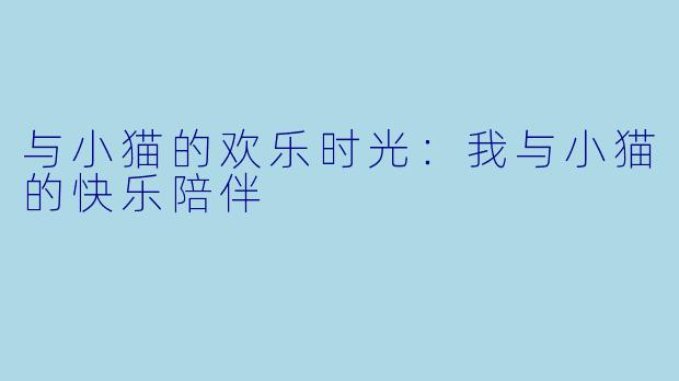 与小猫的欢乐时光：我与小猫的快乐陪伴