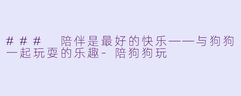 ### 陪伴是最好的快乐——与狗狗一起玩耍的乐趣-陪狗狗玩