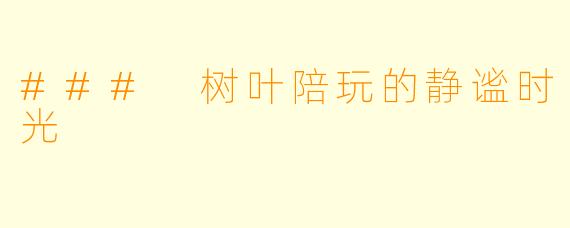 ### 树叶陪玩的静谧时光