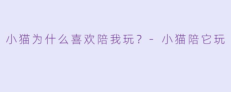 小猫为什么喜欢陪我玩？-小猫陪它玩
