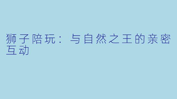 狮子陪玩：与自然之王的亲密互动