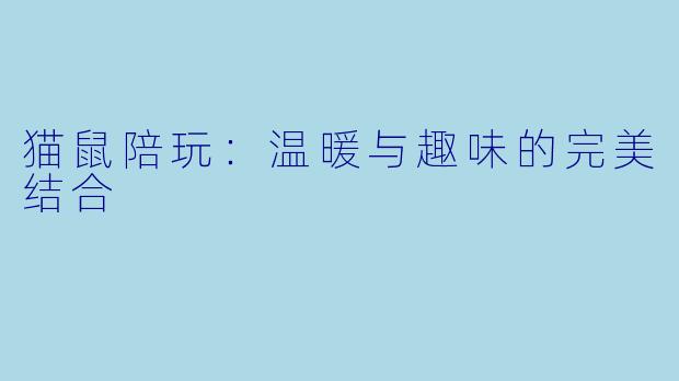 猫鼠陪玩：温暖与趣味的完美结合