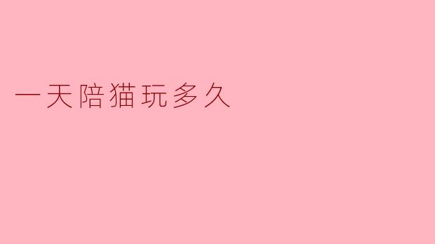 一天陪猫玩多久