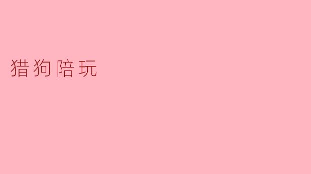 猎狗陪玩