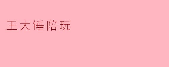 王大锤陪玩