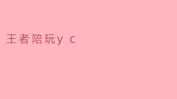 王者陪玩yc是什么？****