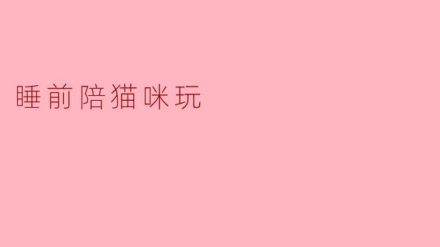 睡前陪猫咪玩