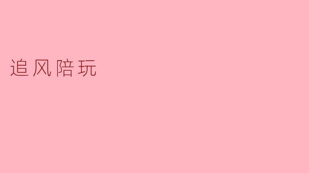 追风陪玩