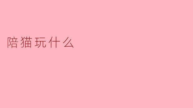 陪猫玩什么