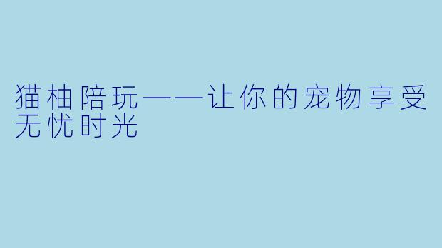 猫柚陪玩——让你的宠物享受无忧时光