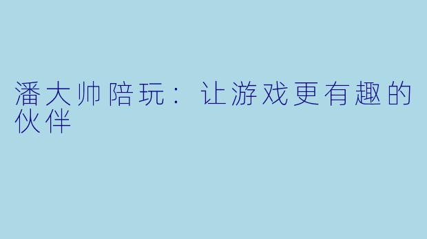 潘大帅陪玩:让游戏更有趣的伙伴