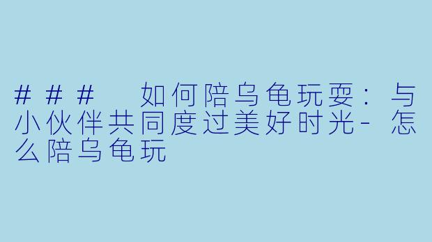 ### 如何陪乌龟玩耍：与小伙伴共同度过美好时光-怎么陪乌龟玩