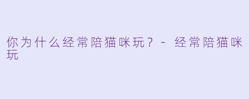 你为什么经常陪猫咪玩？