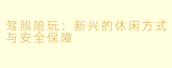 驾照陪玩:新兴的休闲方式与安全保障