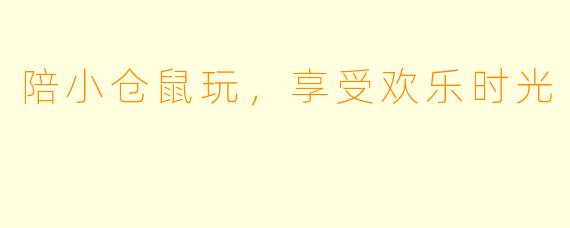陪小仓鼠玩，享受欢乐时光