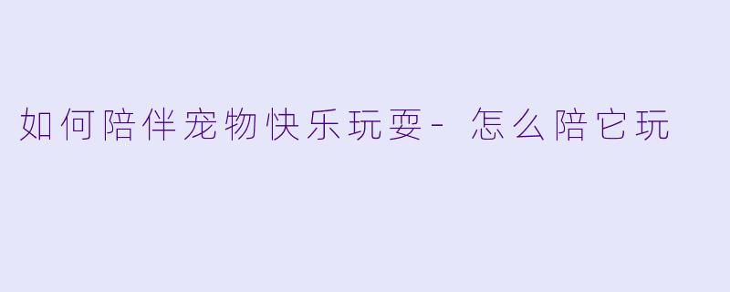 如何陪伴宠物快乐玩耍-怎么陪它玩