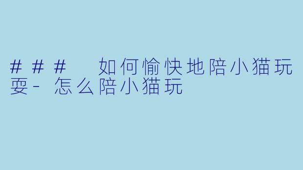 ### 如何愉快地陪小猫玩耍-怎么陪小猫玩