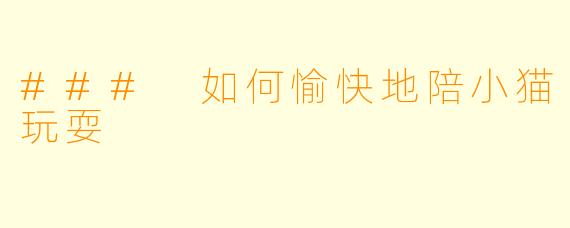 ### 如何愉快地陪小猫玩耍